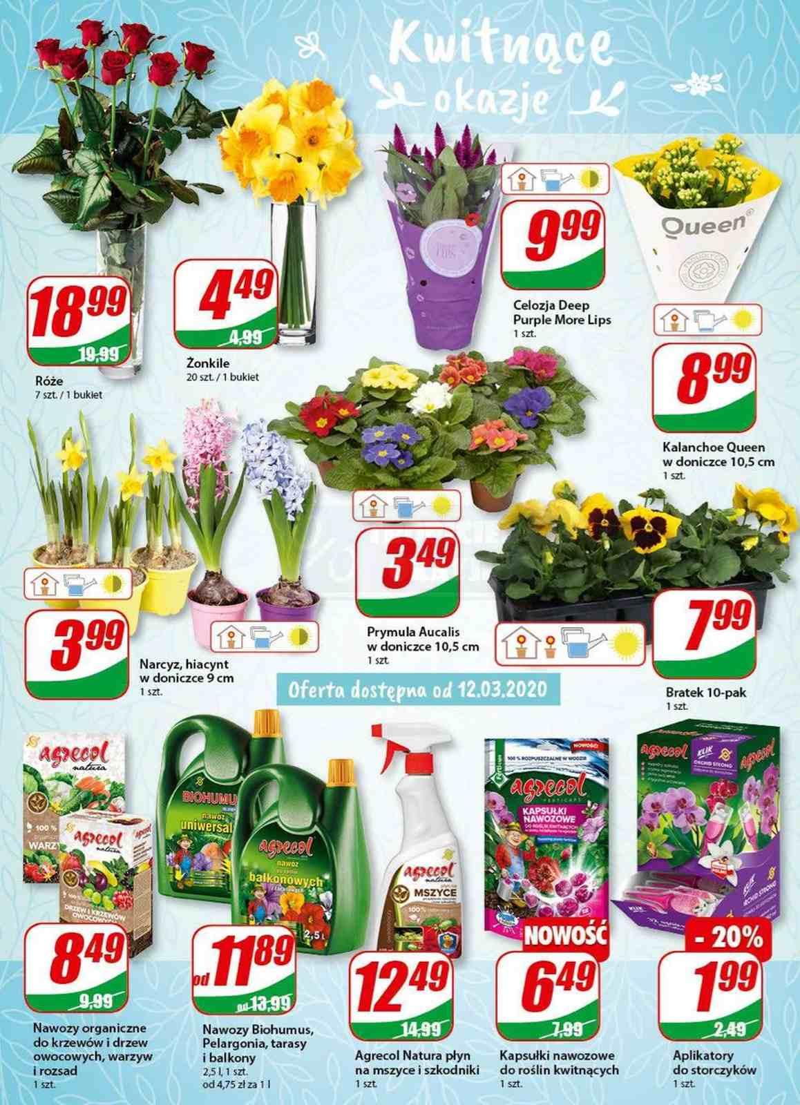 Gazetka promocyjna DINO str. 15