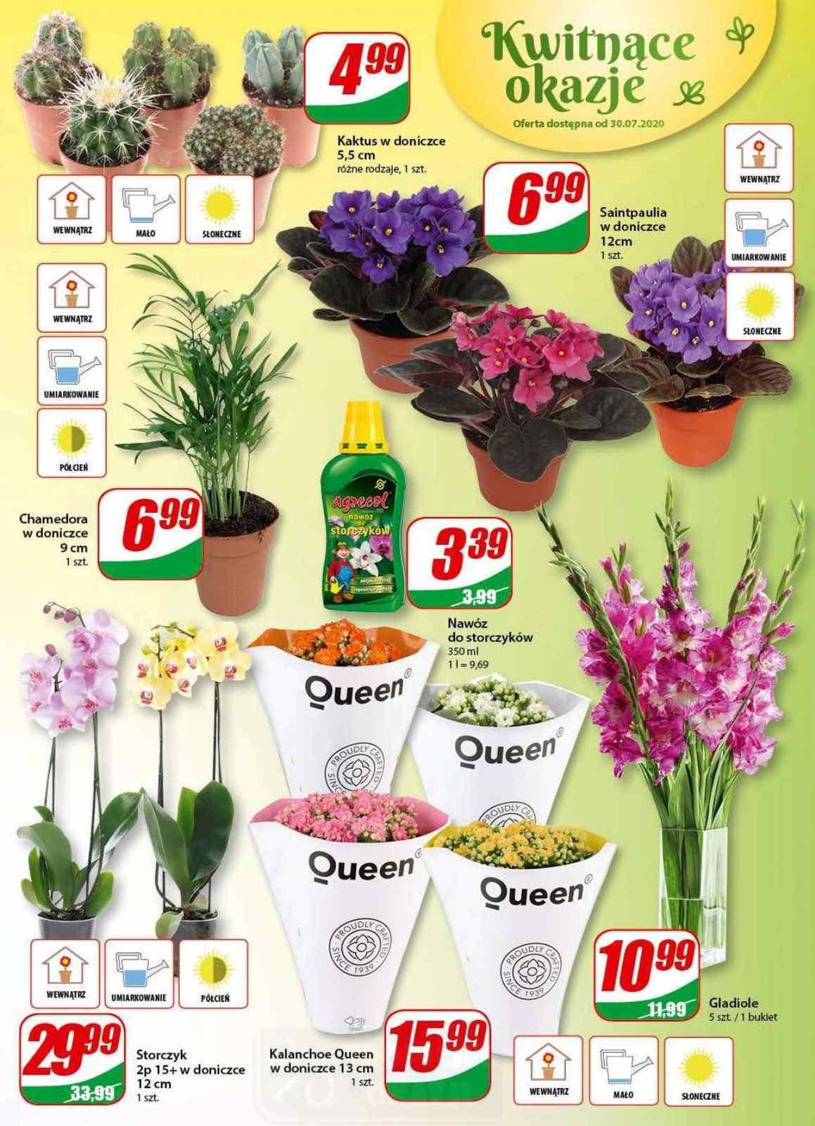 Gazetka promocyjna DINO str. 14