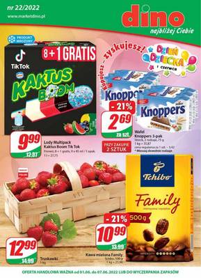 Gazetka Dino