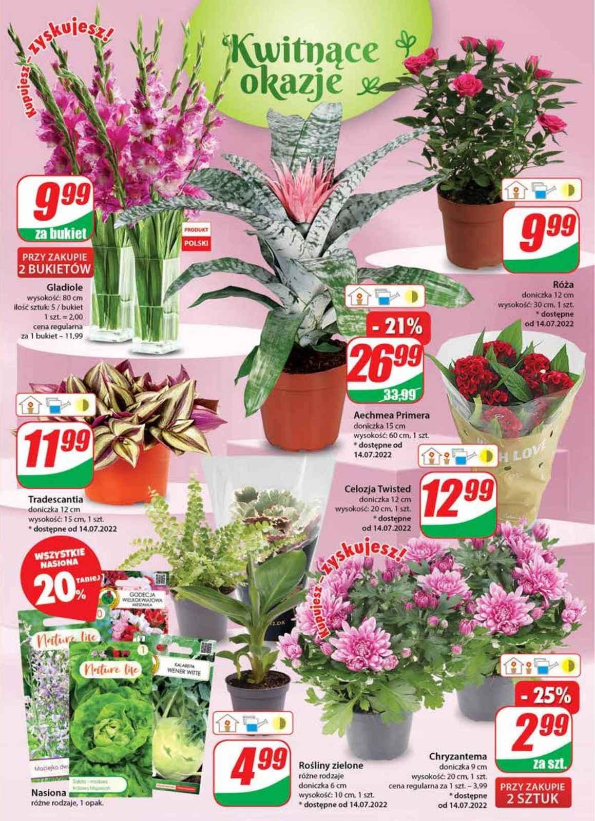 Gazetka promocyjna DINO str. 17