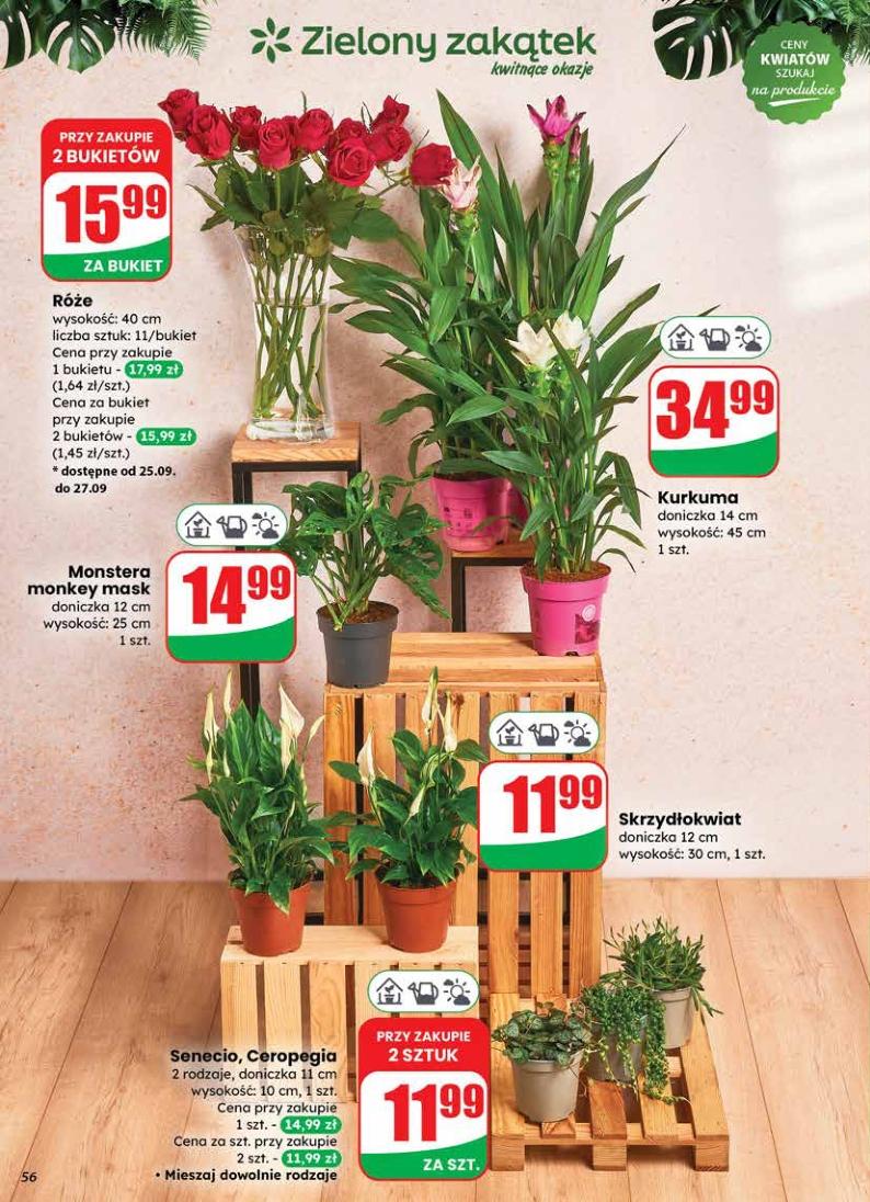 Gazetka promocyjna DINO str. 56