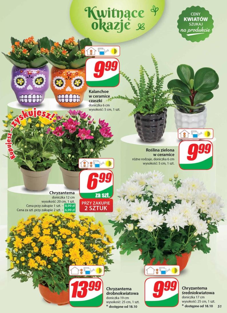 Gazetka promocyjna DINO str. 51