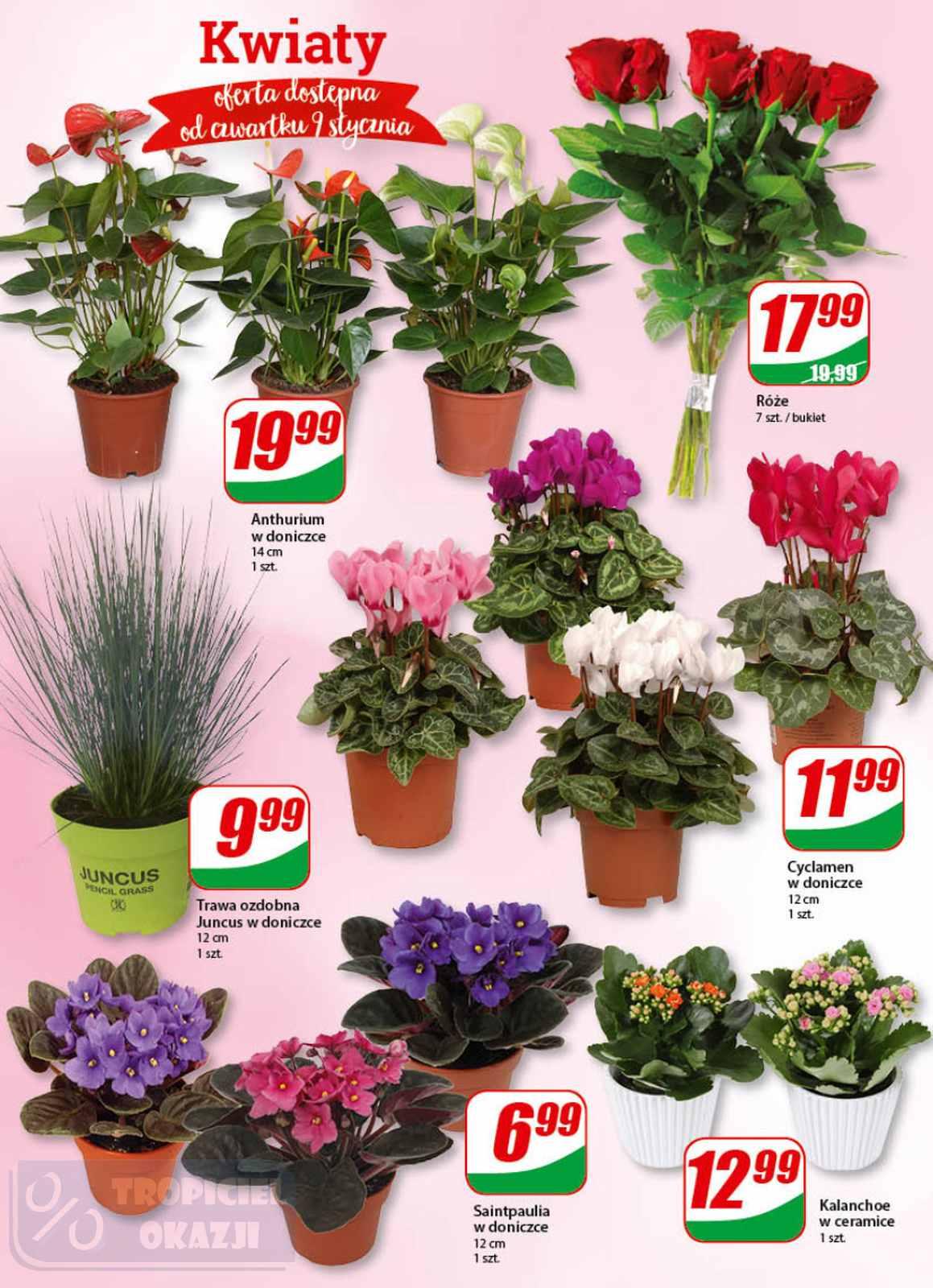 Gazetka promocyjna DINO str. 14