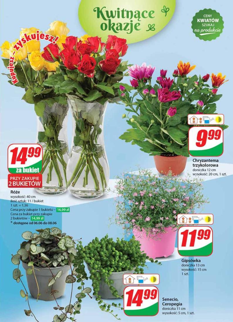 Gazetka promocyjna DINO str. 49