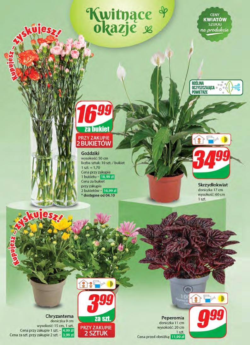 Gazetka promocyjna DINO str. 50