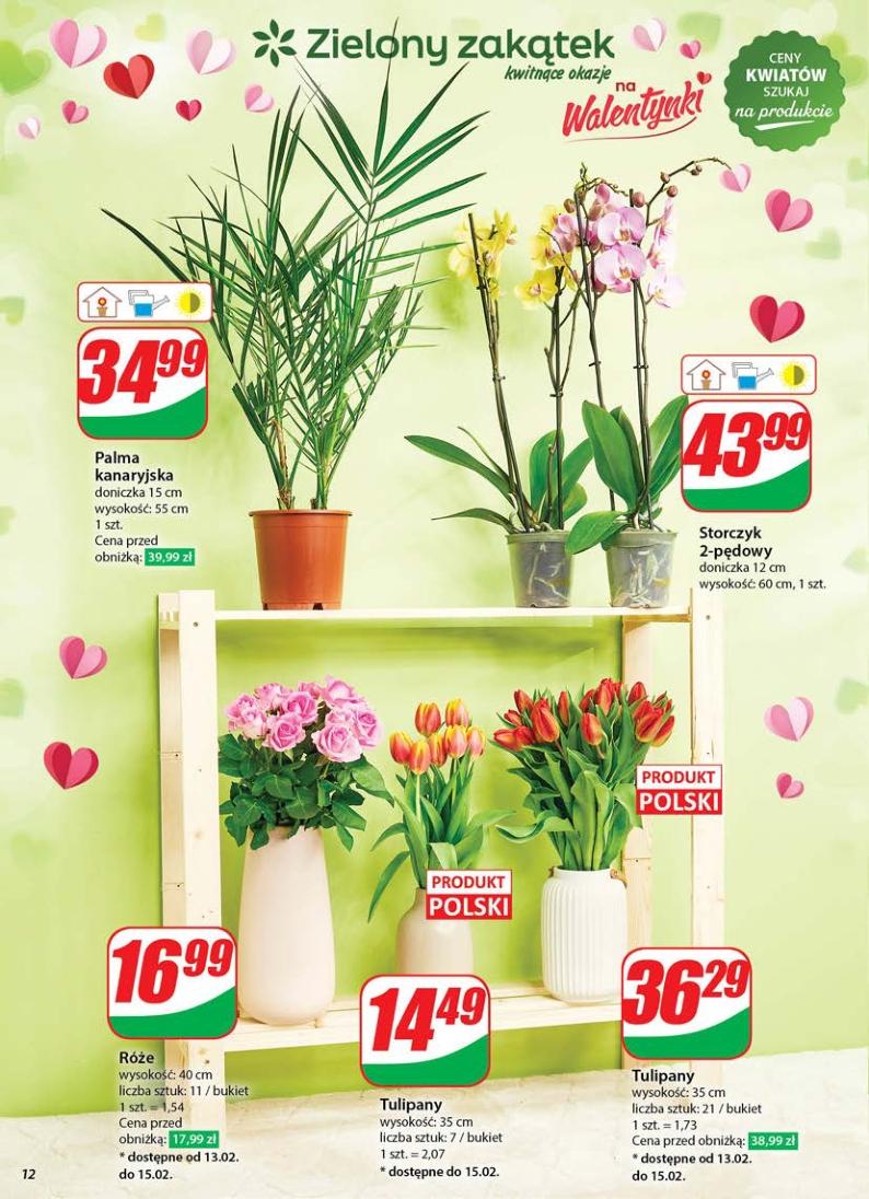 Gazetka promocyjna DINO str. 12