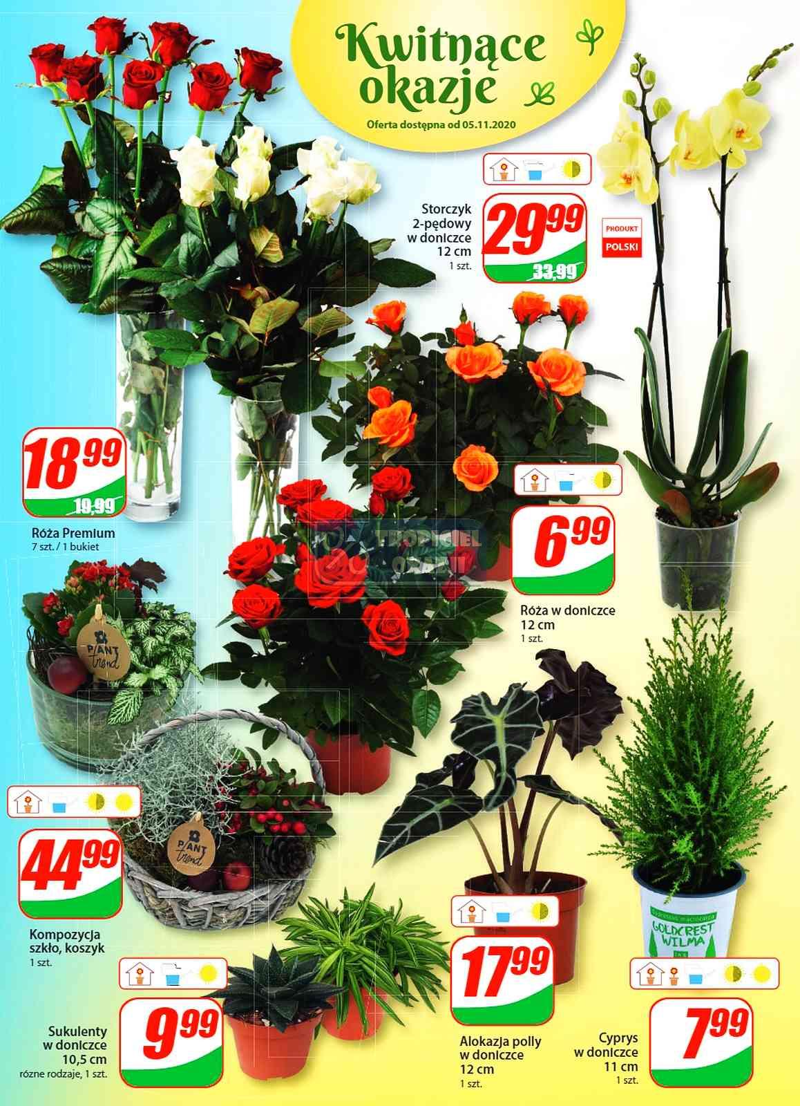 Gazetka promocyjna DINO str. 15