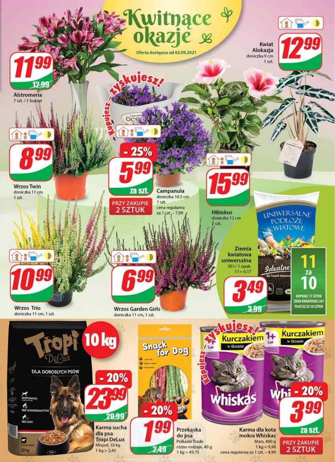 Gazetka promocyjna DINO str. 15