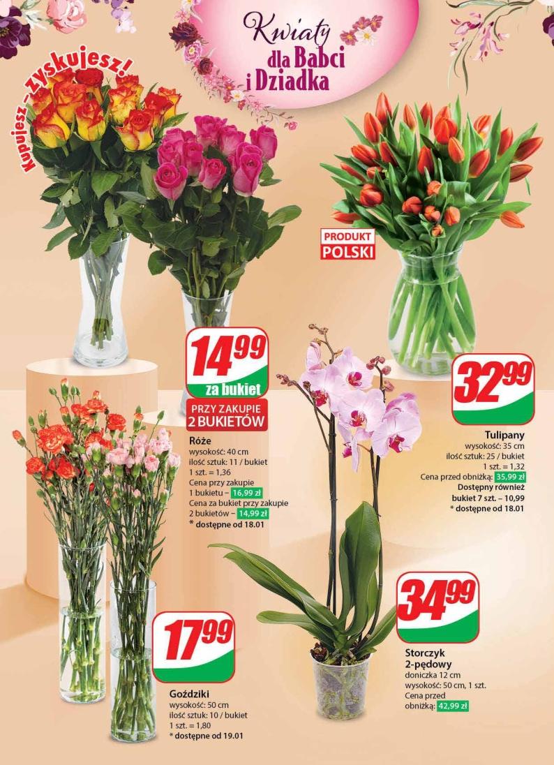 Gazetka promocyjna DINO str. 48