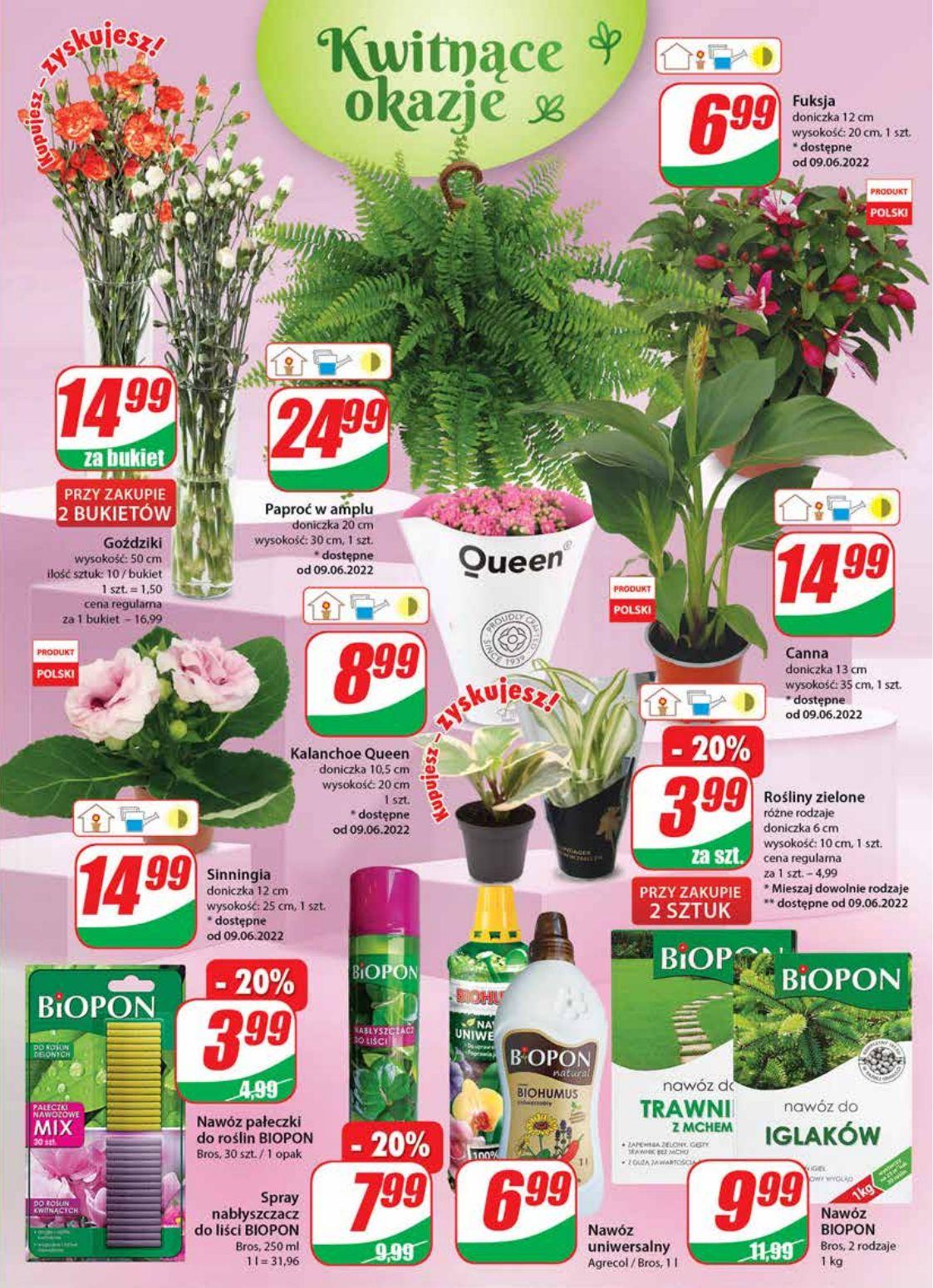 Gazetka promocyjna DINO str. 19