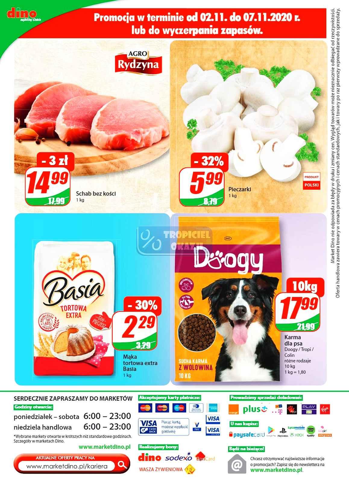 Gazetka promocyjna DINO str. 20