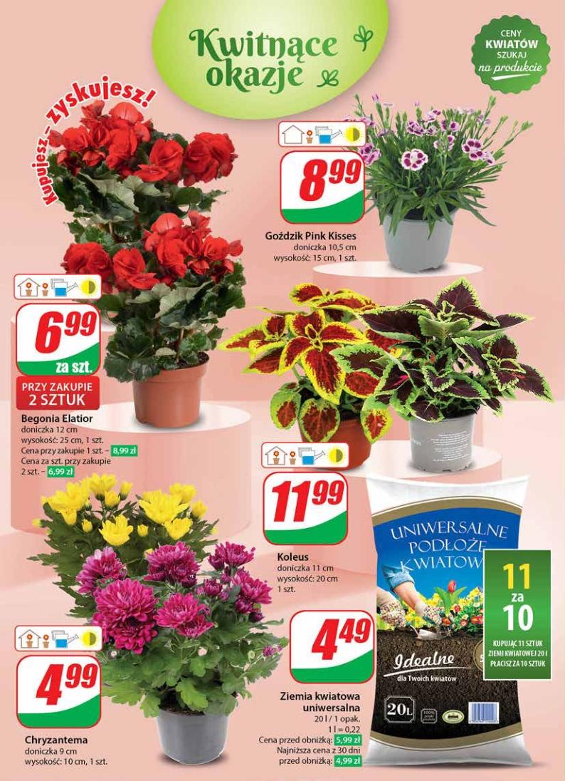 Gazetka promocyjna DINO str. 46