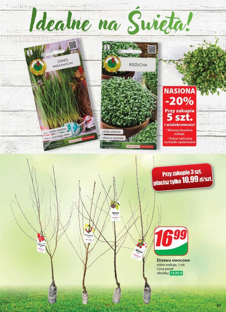 Gazetka promocyjna DINO str. 56