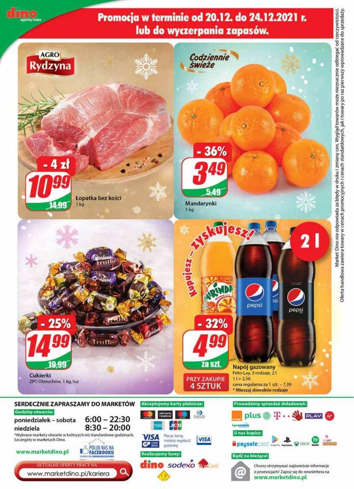 Gazetka promocyjna DINO str. 24