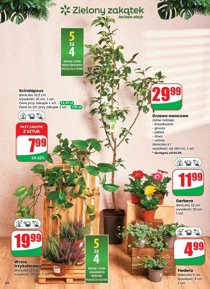 Gazetka promocyjna DINO str. 54
