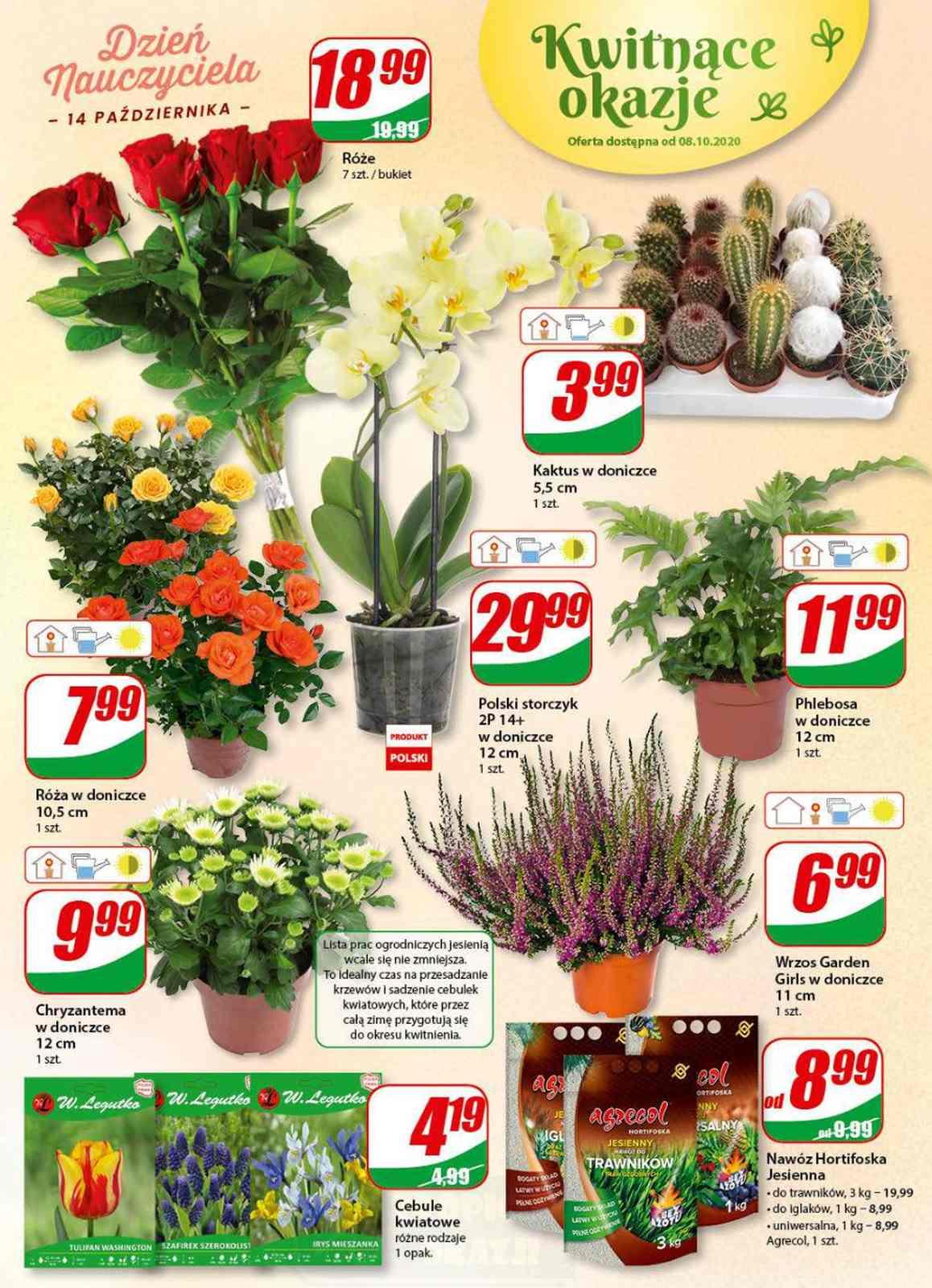 Gazetka promocyjna DINO str. 16