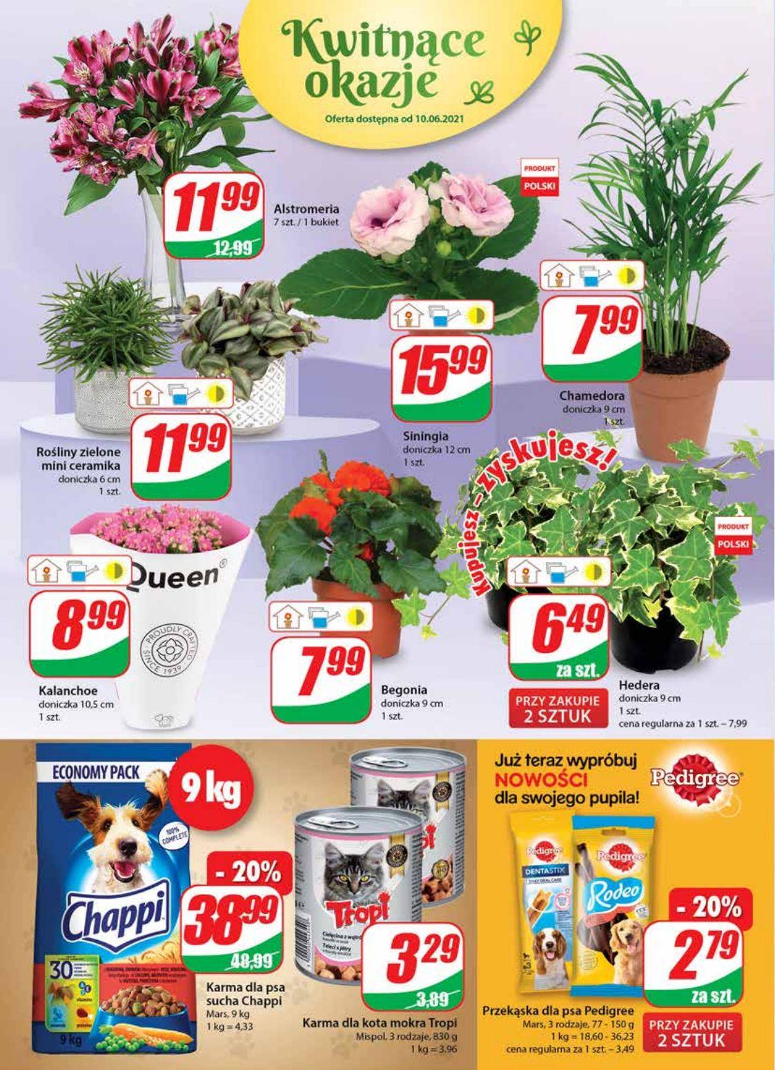 Gazetka promocyjna DINO str. 16