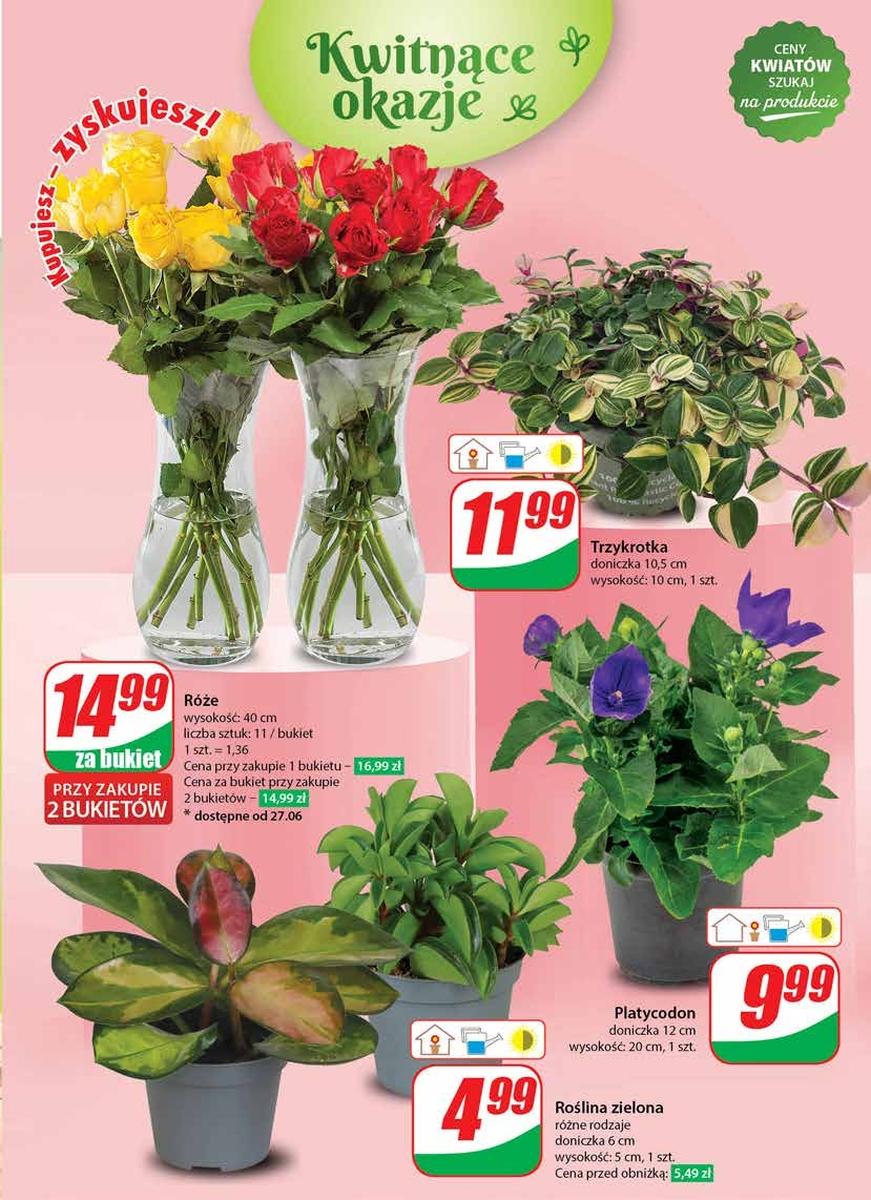 Gazetka promocyjna DINO str. 47