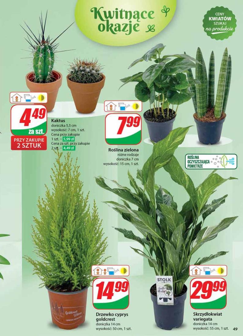 Gazetka promocyjna DINO str. 49