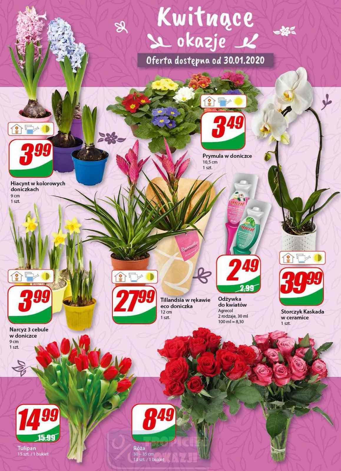 Gazetka promocyjna DINO str. 14