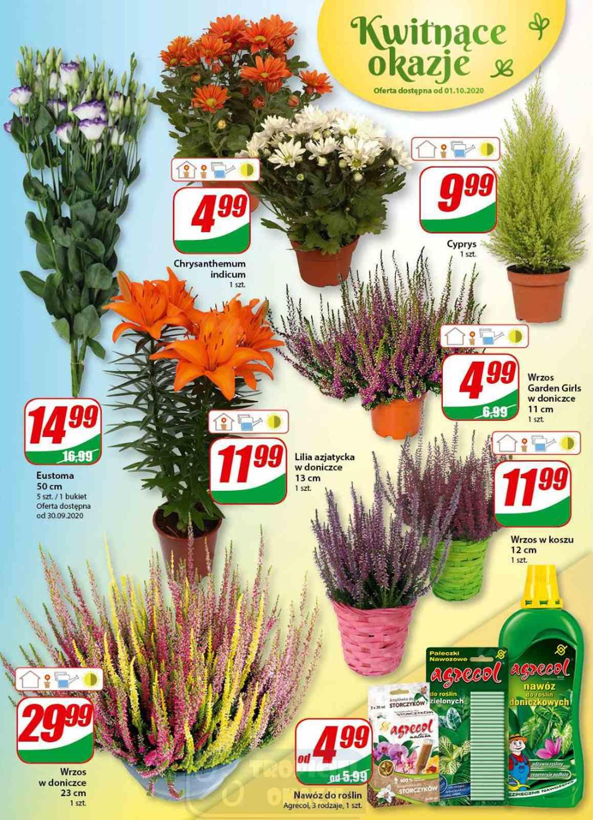 Gazetka promocyjna DINO str. 14