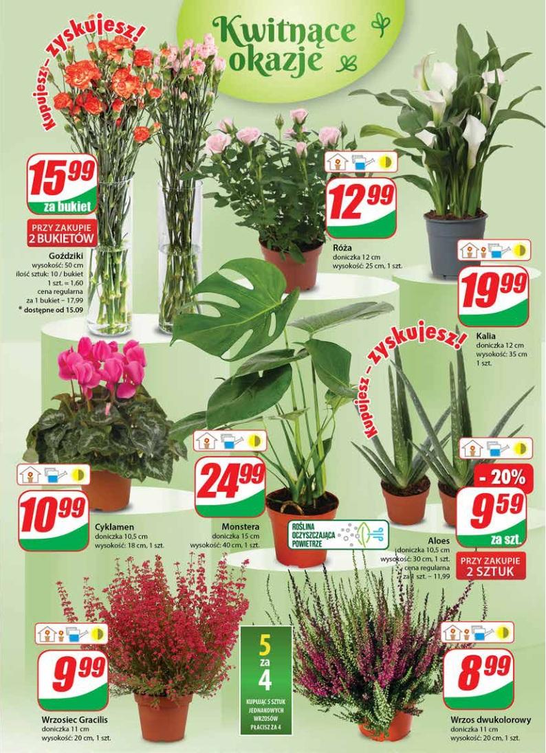 Gazetka promocyjna DINO str. 17