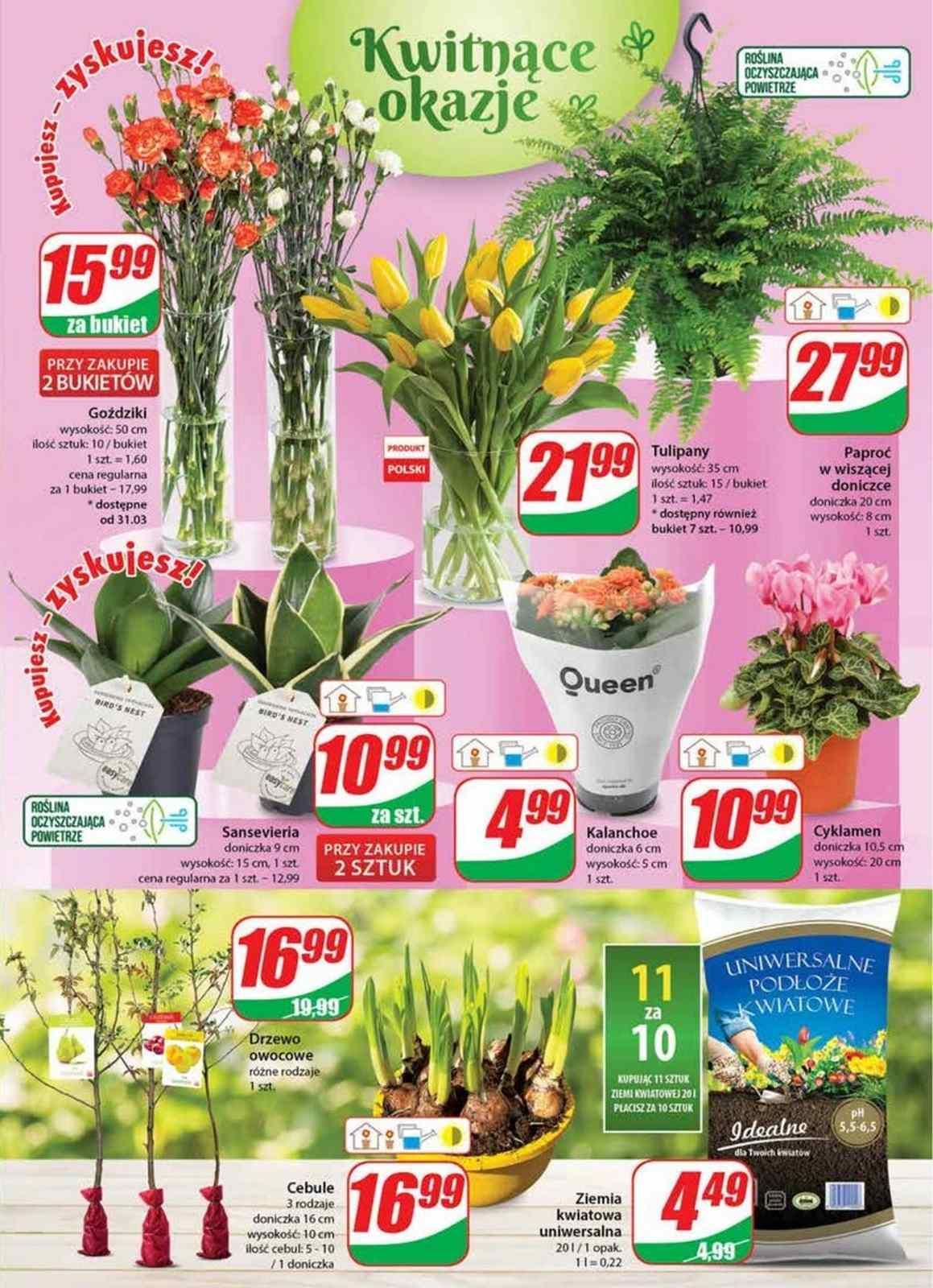 Gazetka promocyjna DINO str. 24