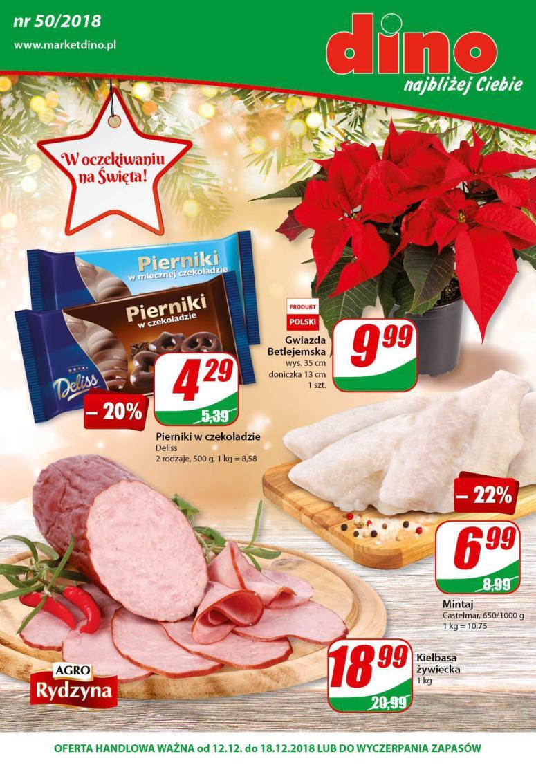 Gazetka promocyjna DINO str. 1