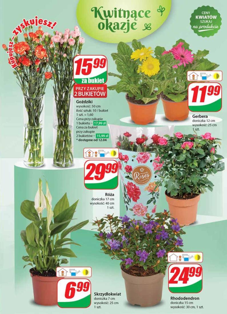 Gazetka promocyjna DINO str. 47