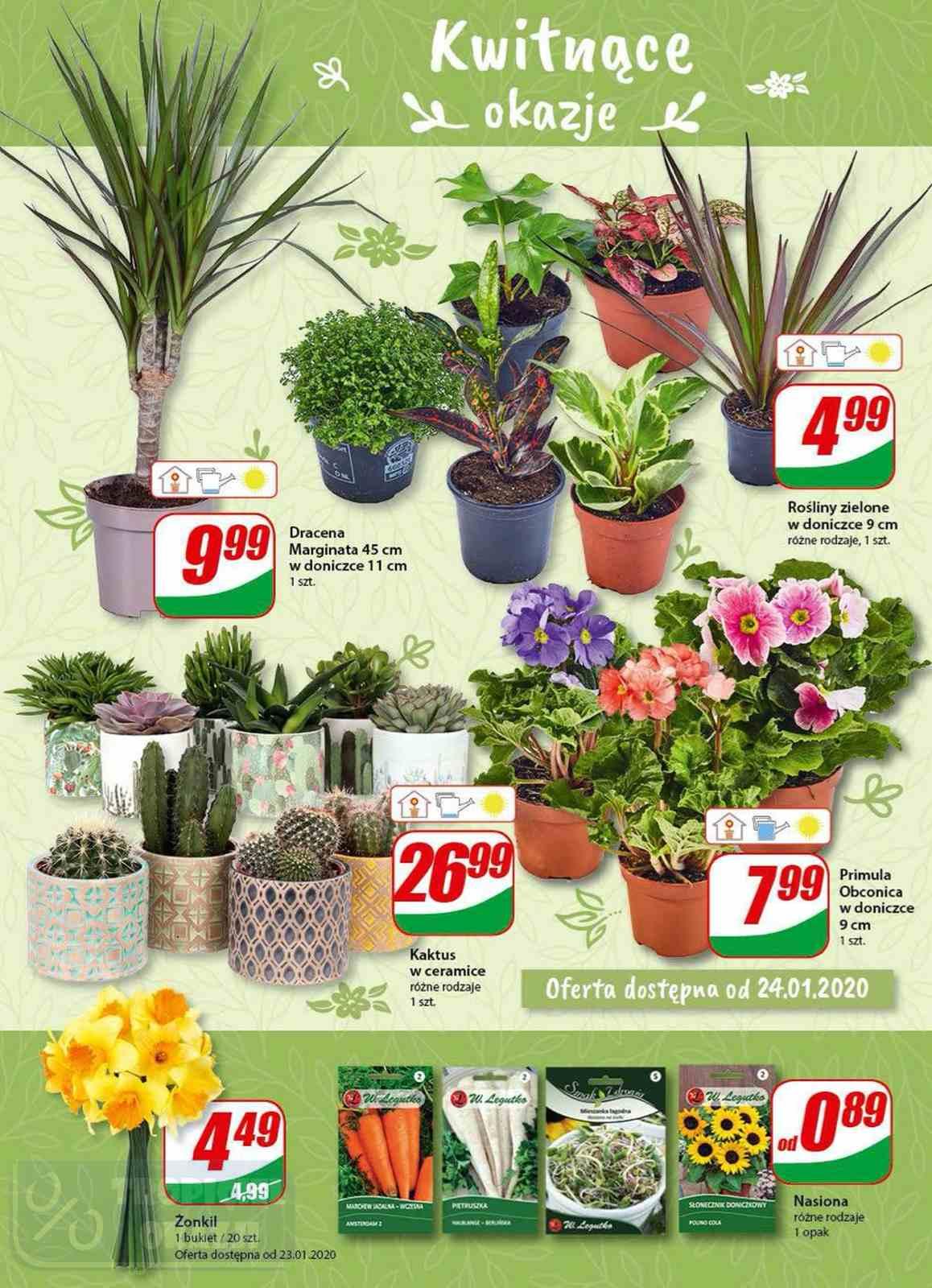 Gazetka promocyjna DINO str. 14