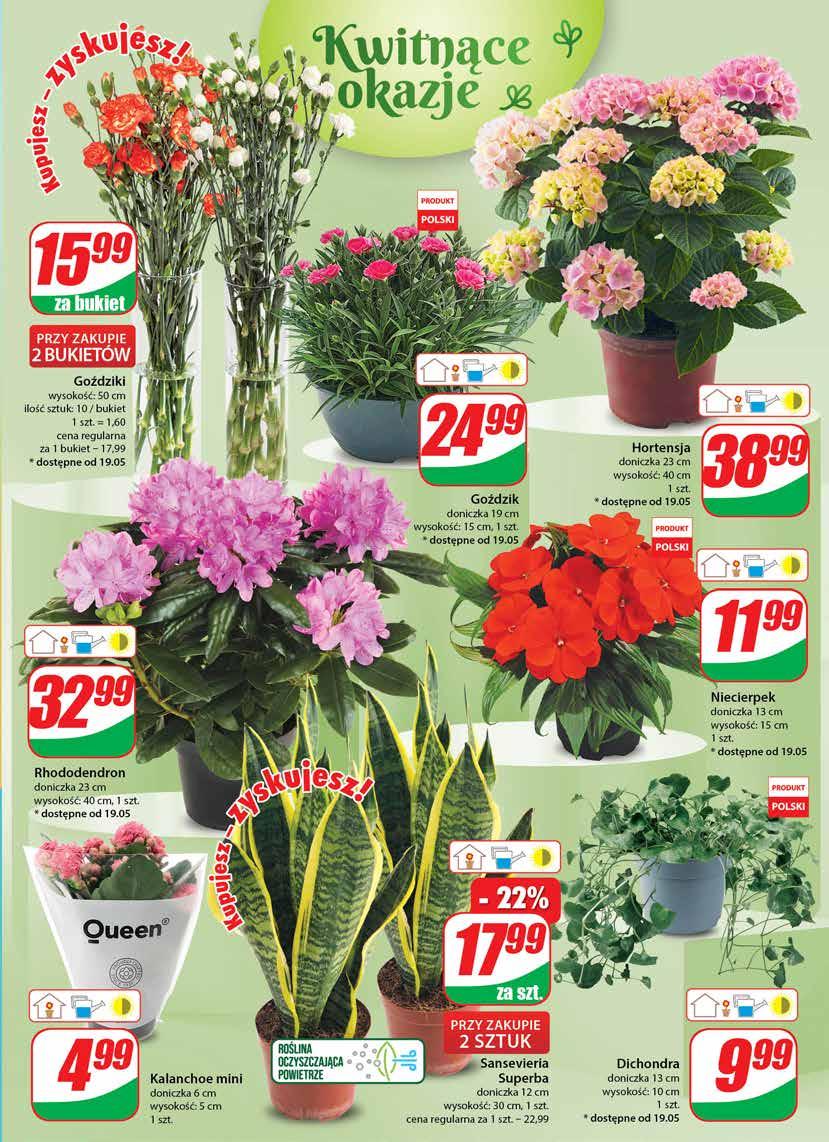 Gazetka promocyjna DINO str. 20