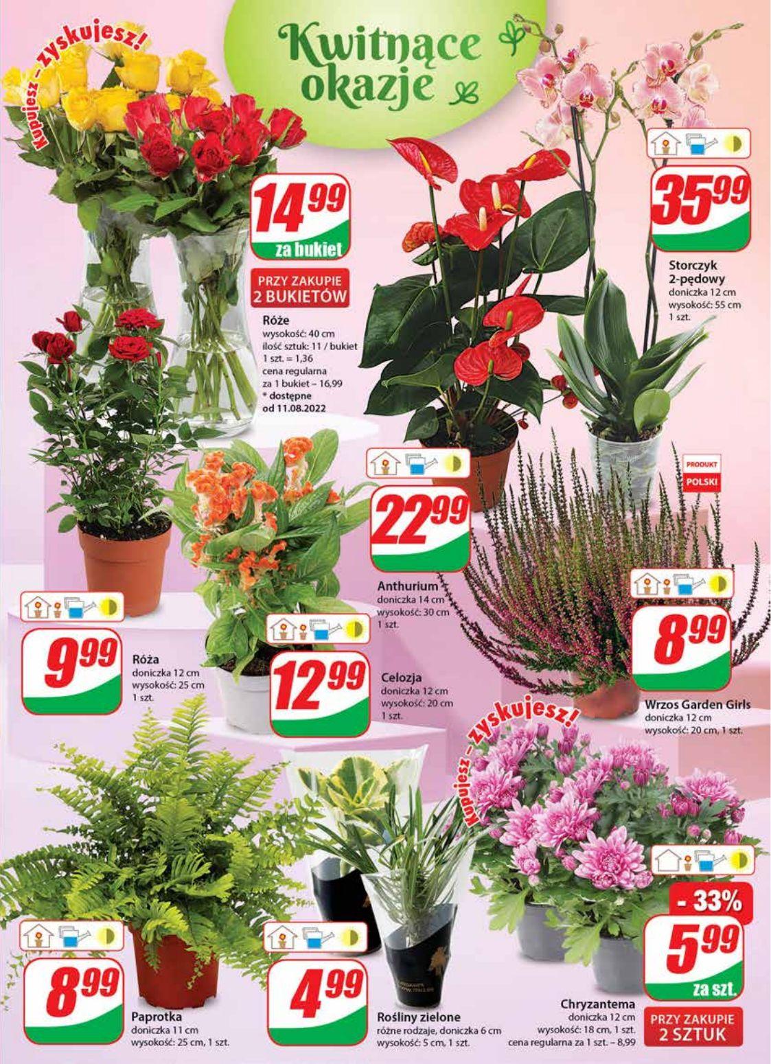 Gazetka promocyjna DINO str. 19