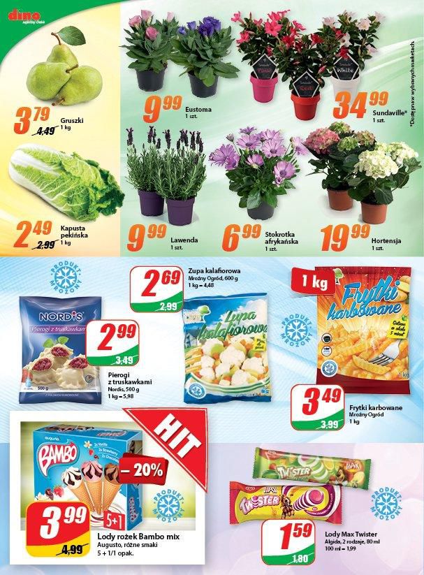 Gazetka promocyjna DINO str. 4