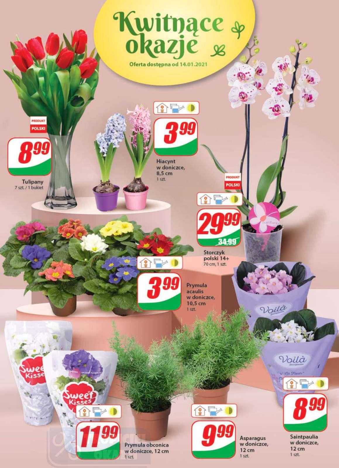 Gazetka promocyjna DINO str. 16