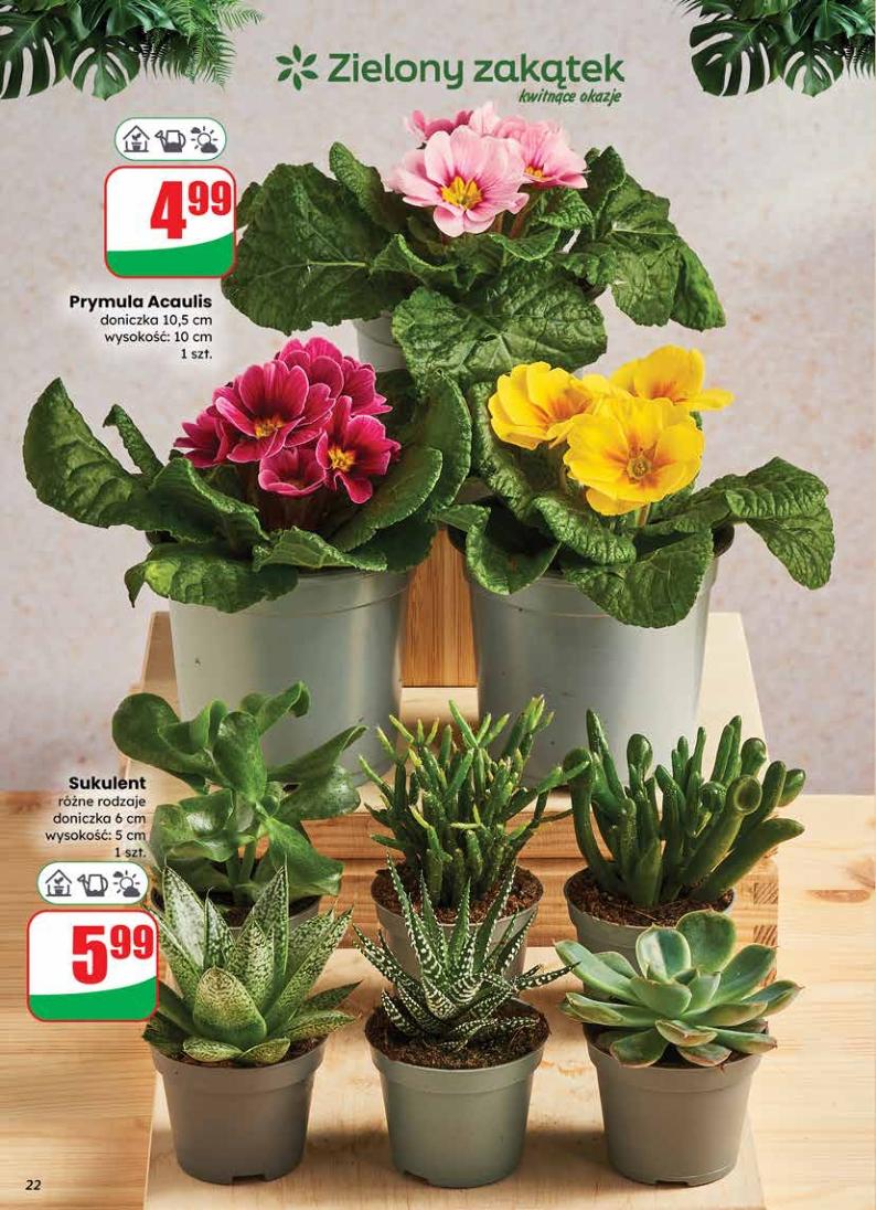 Gazetka promocyjna DINO str. 22