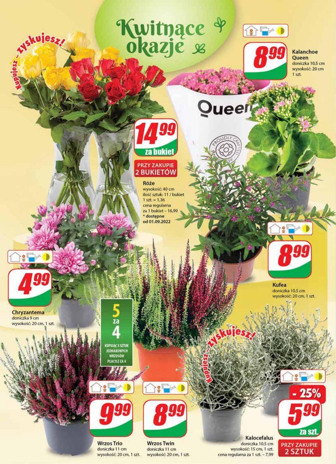 Gazetka promocyjna DINO str. 18