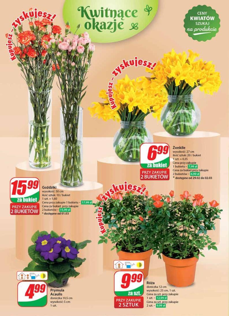 Gazetka promocyjna DINO str. 48