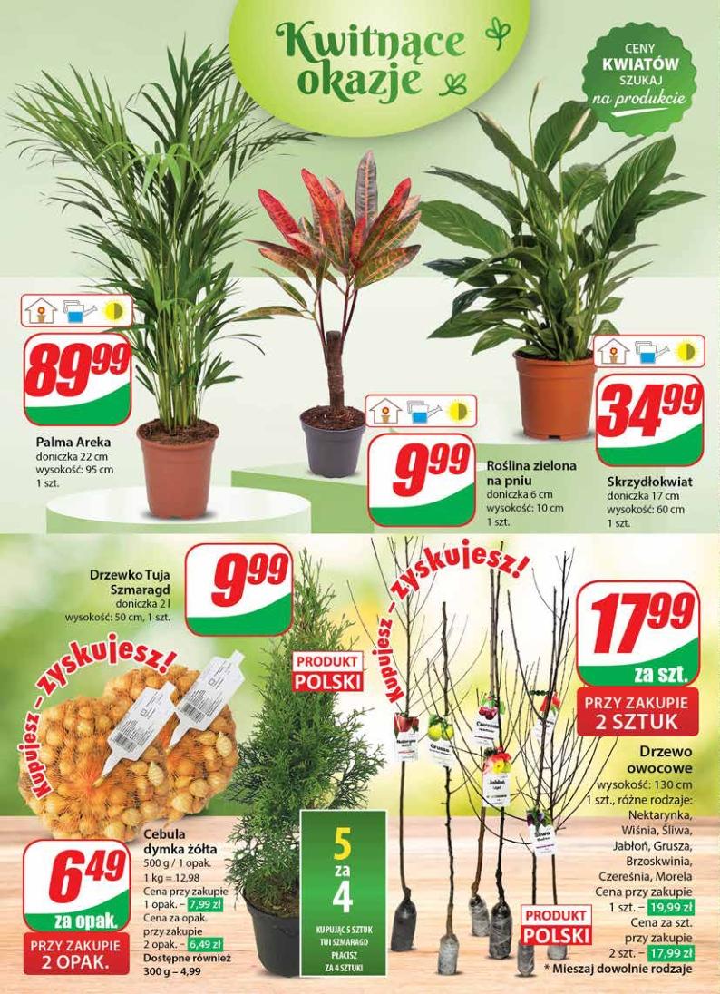 Gazetka promocyjna DINO str. 50