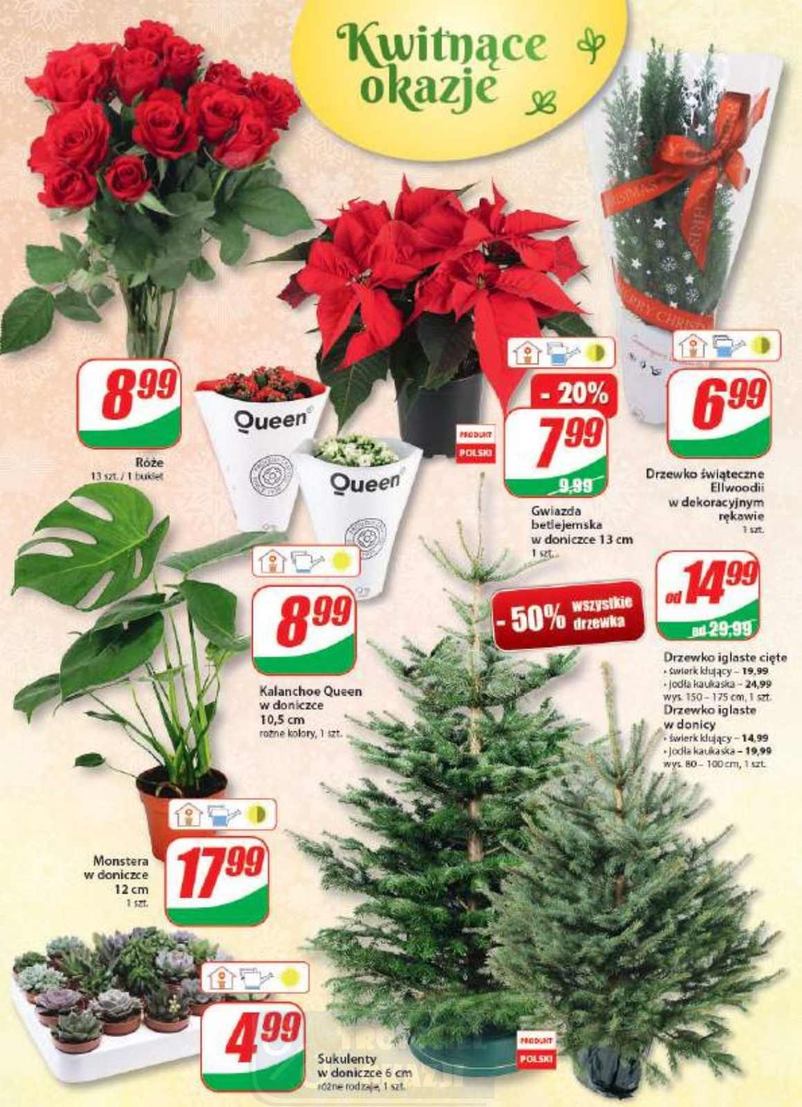 Gazetka promocyjna DINO str. 19