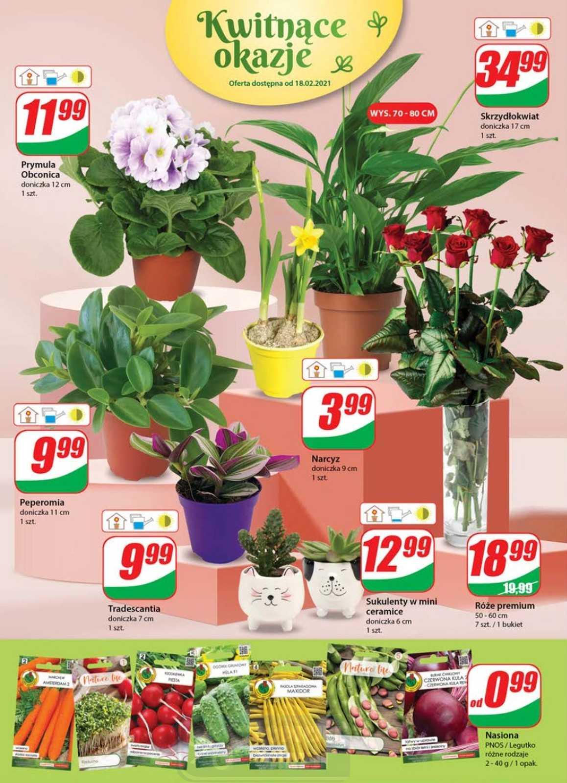 Gazetka promocyjna DINO str. 16