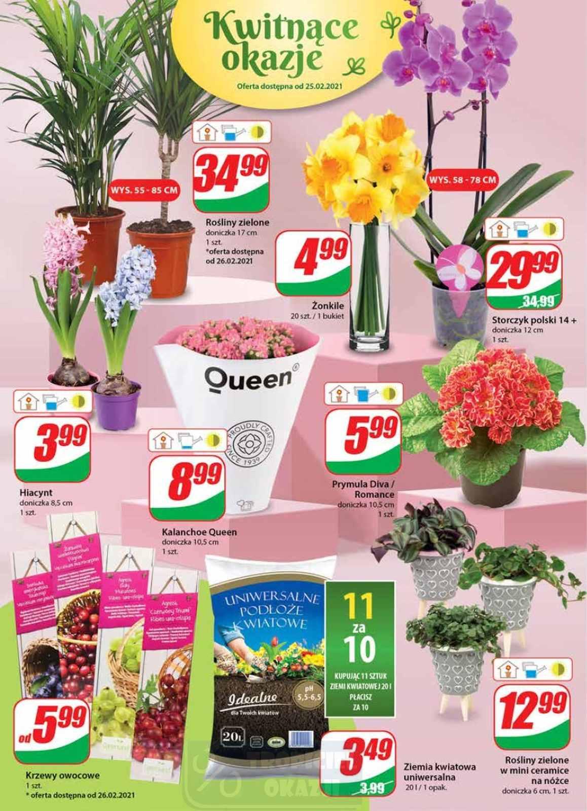 Gazetka promocyjna DINO str. 16