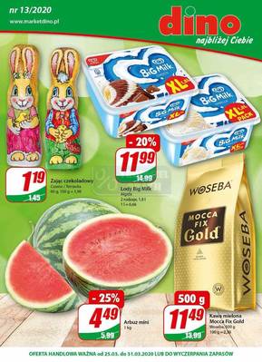Gazetka Dino
