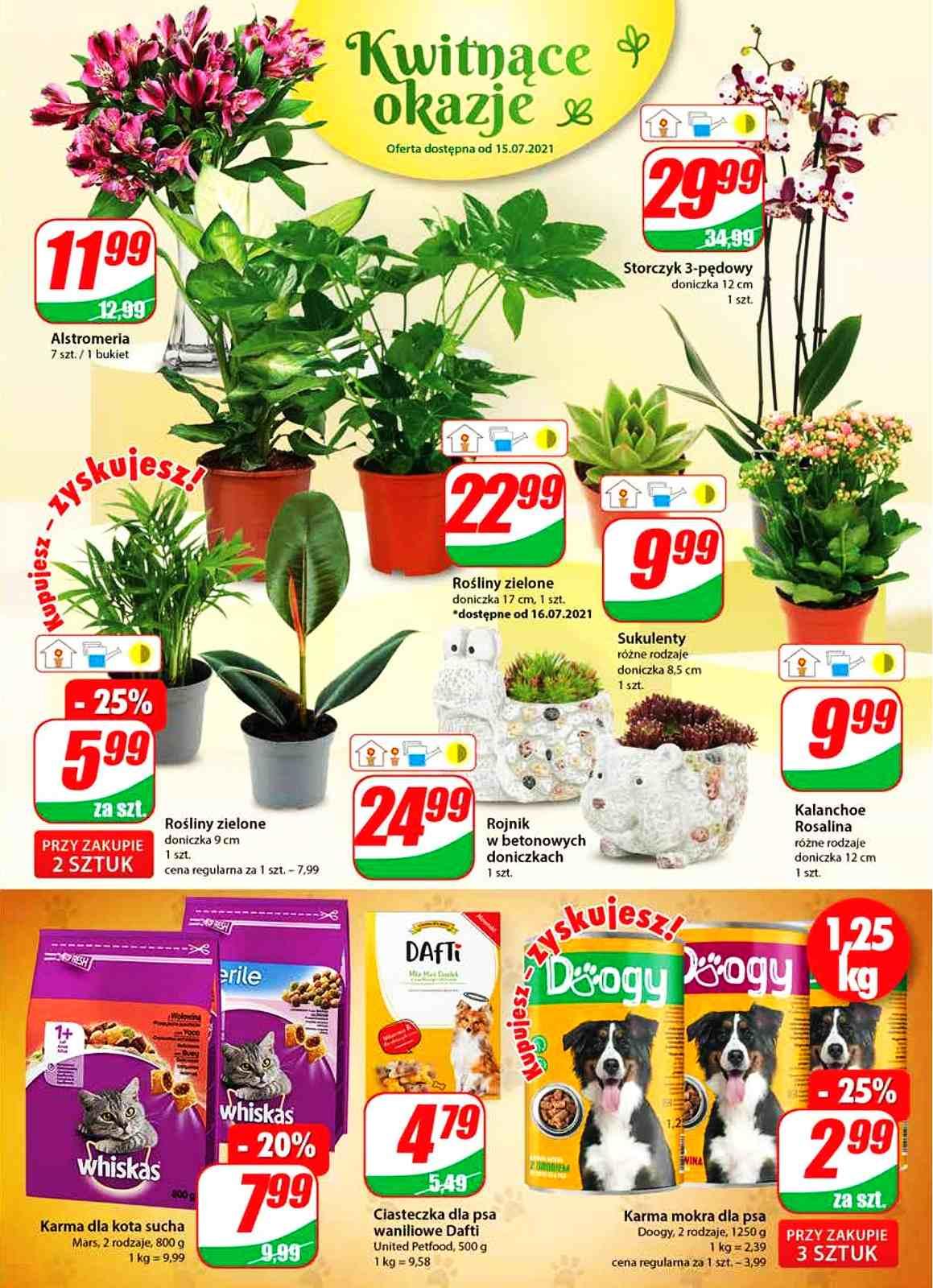 Gazetka promocyjna DINO str. 15