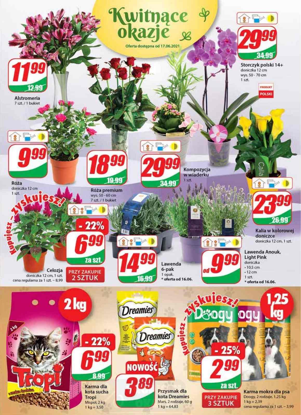 Gazetka promocyjna DINO str. 15