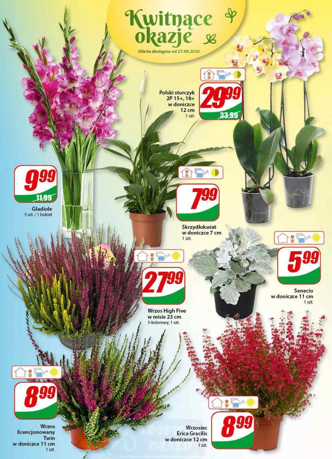 Gazetka promocyjna DINO str. 15