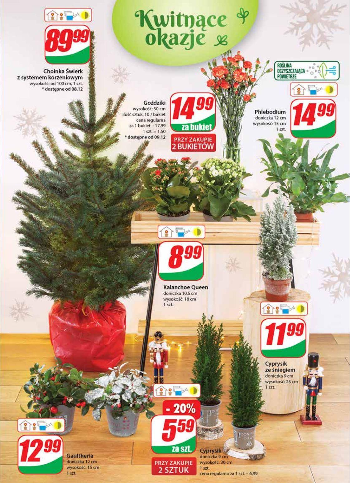 Gazetka promocyjna DINO str. 22