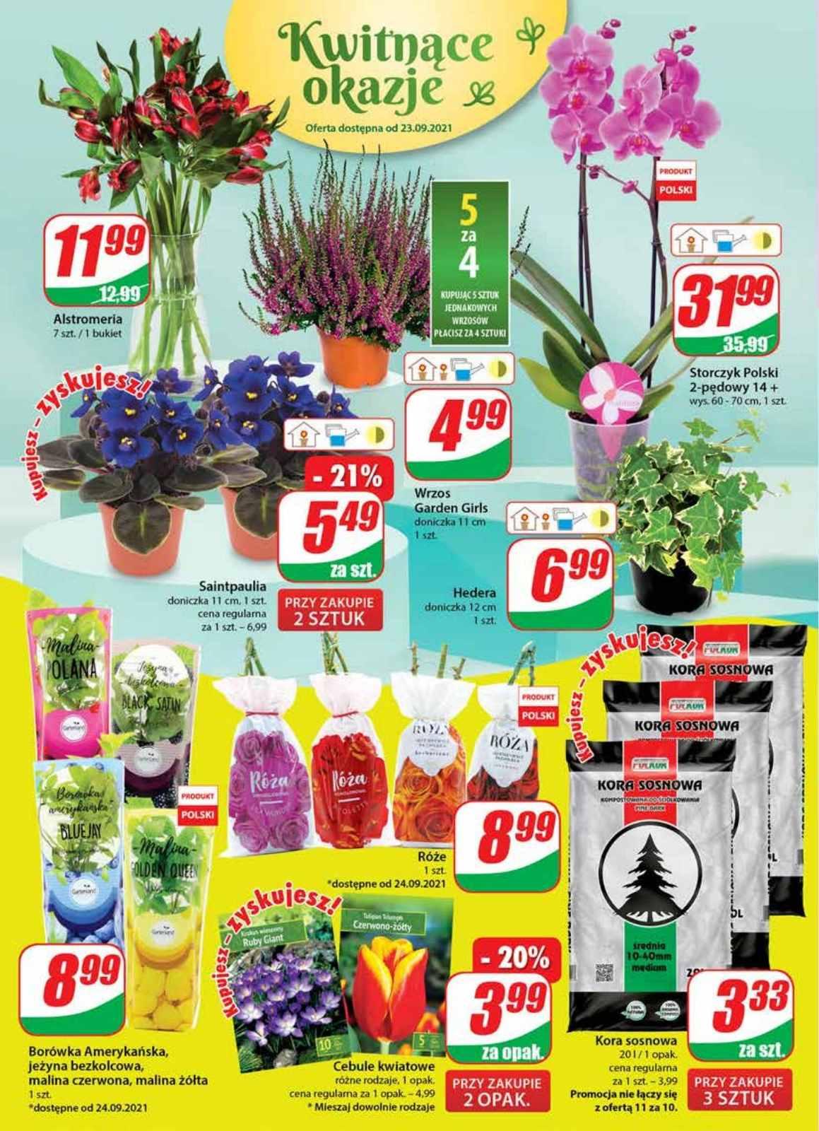 Gazetka promocyjna DINO str. 16