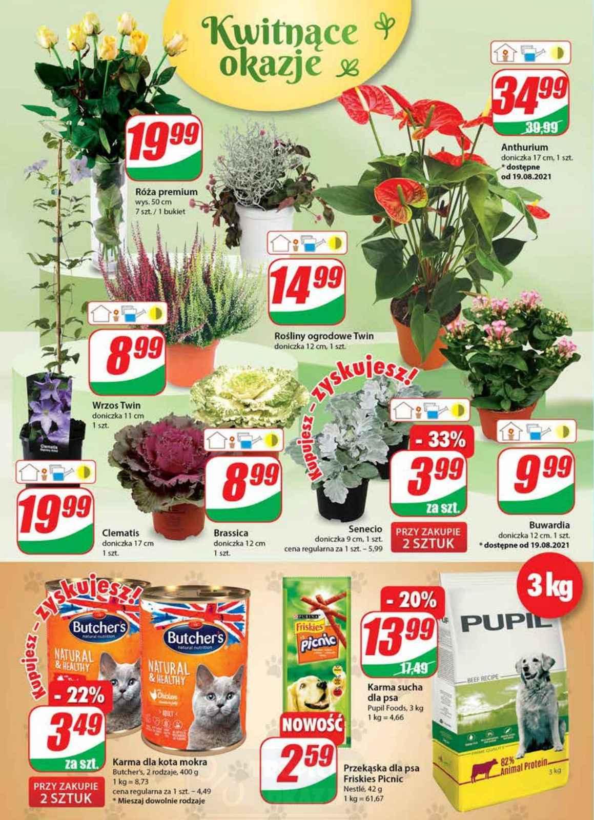 Gazetka promocyjna DINO str. 16