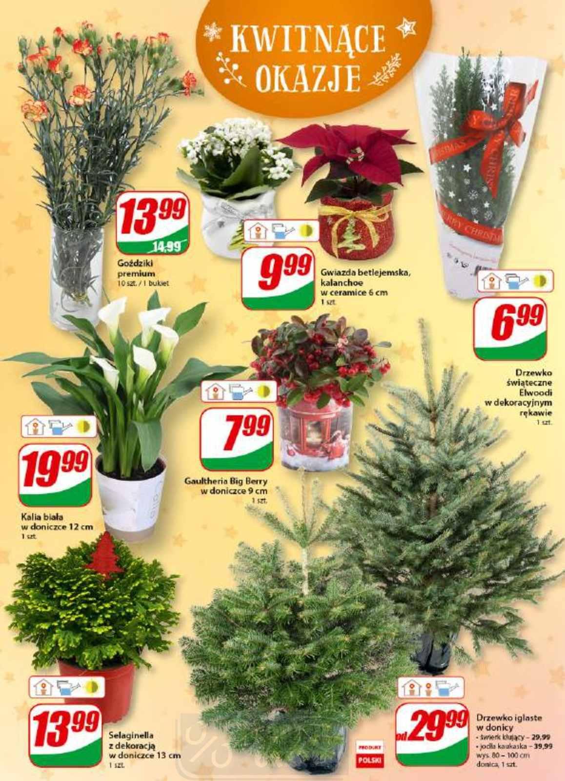 Gazetka promocyjna DINO str. 21