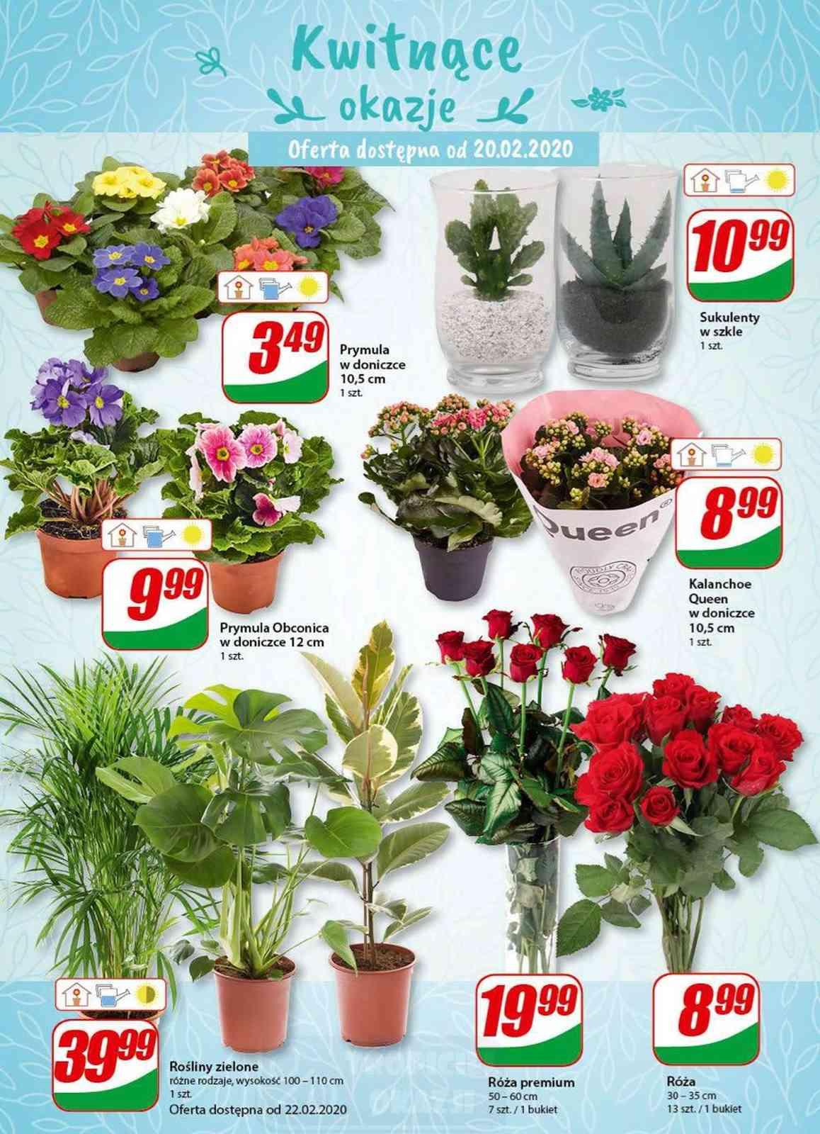 Gazetka promocyjna DINO str. 14